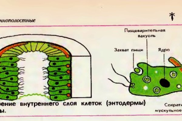 Сайт тор кракен