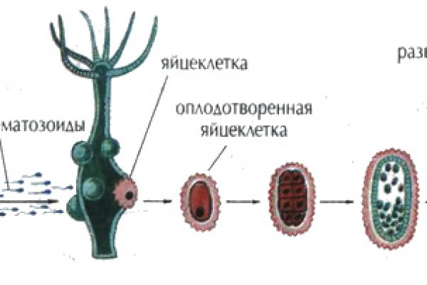 Kraken 12 at сайт